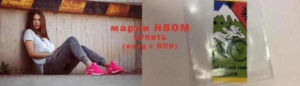 хмурый Надым