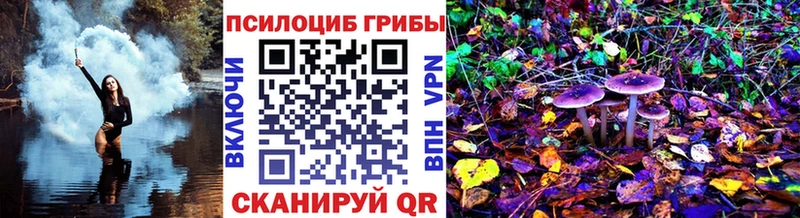 сколько стоит  Северо-Курильск  Псилоцибиновые грибы MAGIC MUSHROOMS 